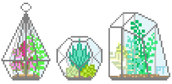 pretty-transparents:  i’m really liking terrariums 