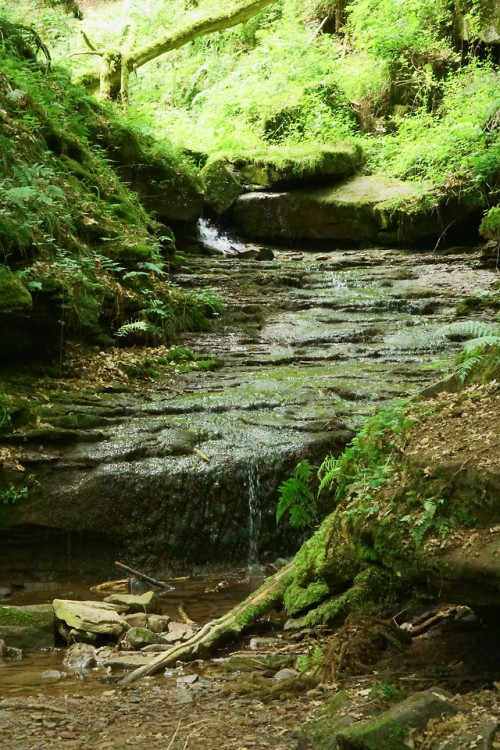 Lützenschlucht