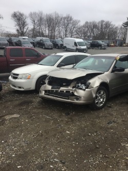 kittenfossils: kittenfossils:   my car :(