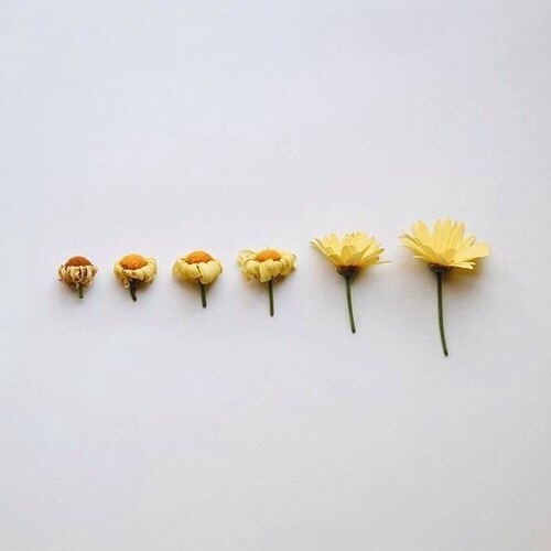 ohthentic:  Oh 