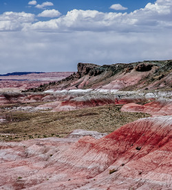 Petrified Forest National ParkArizona-jerrysEYES