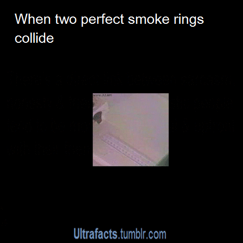 ultrafacts:  For more facts follow Ultrafacts