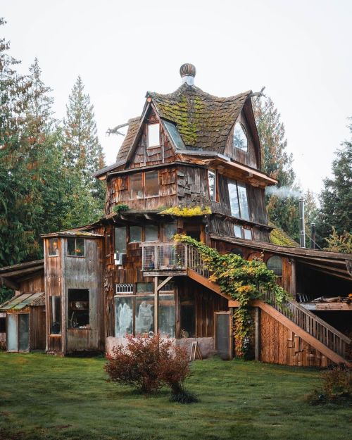 wild-cabins:    James Lloyd Cole  