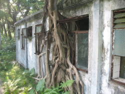 destroyed-and-abandoned:  Abandones tea restaurant and nearby buildings at Lantau Island, Hong Kong, 