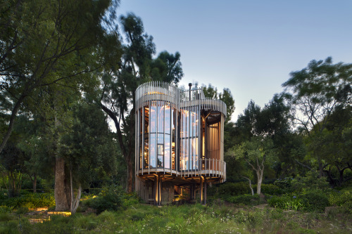 keepingitneutral:  “Constantia Treehouse,”  Paarman Family Estate,   Cape Town, South Africa,Malan Voster Architects