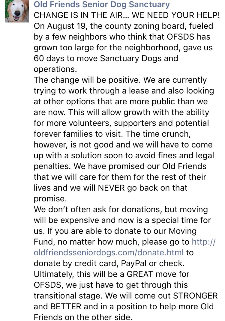 old-friends-senior-dog-sanctuary:  If you would like to support OFSDS you can donate