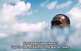 thorakgae:In moonlight, black boys look blue.–Moonlight (2016)
