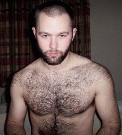 harrybacks:Hairy Shoulders 352