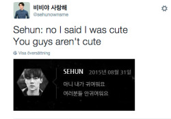 luhtella:  Exo’s sweet and precious maknae,