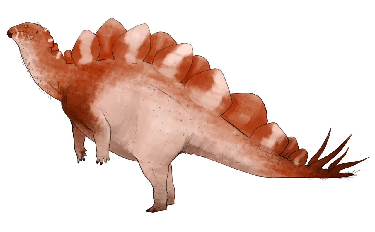 A Dinosaur A Day — Hesperosaurus mjosi