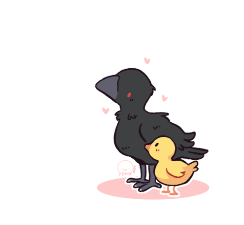 Singularity X Serendipity