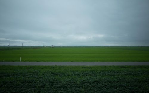 araiwatal:  SCENERY SEEN FROM A TRAIN WINDOW   THE NORTHEASTERN AREA車窓 東北 #69Ou Main Line 奥羽本線Hachirogata 八郎潟 https://plus.google.com/b/105927364264306621006/collections 