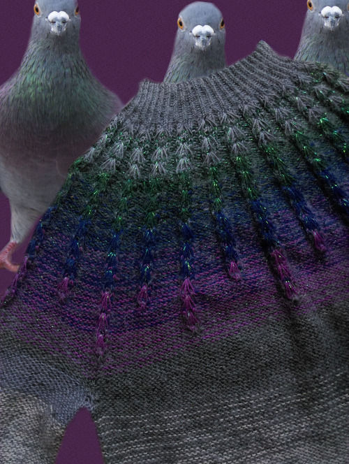 sliceofpearpie:hello is me again i am BACK with ANOTHER PIGEON JUMPERravelry page is HERE i am also 