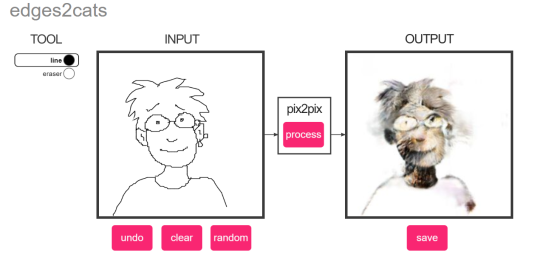 senorpacman: babbybones:  this is edges2cats, porn pictures