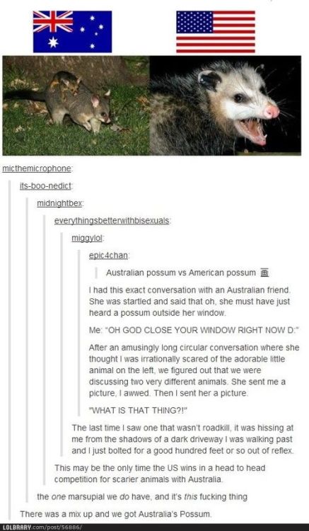 professional-llama:Is Australia even real porn pictures