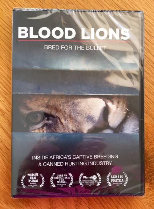 USA DVD release of Blood Lions - Bred for the Bullet.5 January, 2015 – Public Media Distribution LLC