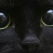 sneergone-deactivated20200129: