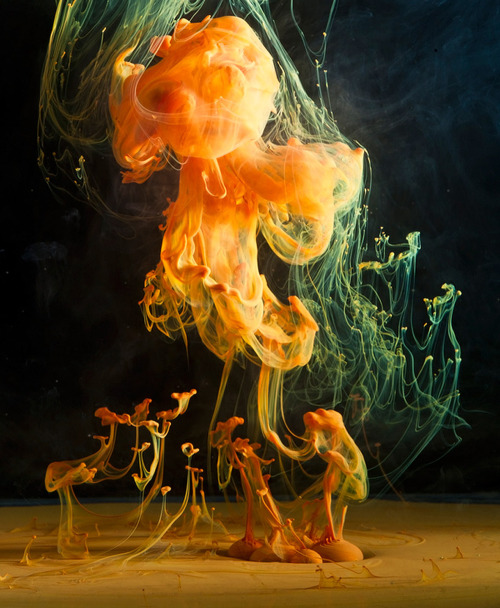 likeafieldmouse:  Luka Klikovac - Demersal (2012) - Various kinds of colored fluid in water 