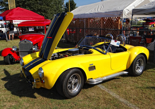 65 Cobra