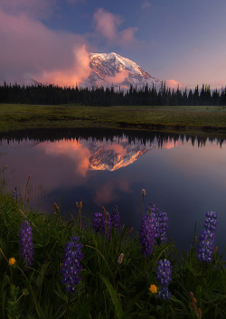 brutalgeneration:  Majesty Revealed by Trevor Anderson on Flickr. 