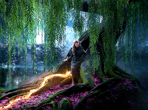 tswift:life was a willow and it bent right to your wind