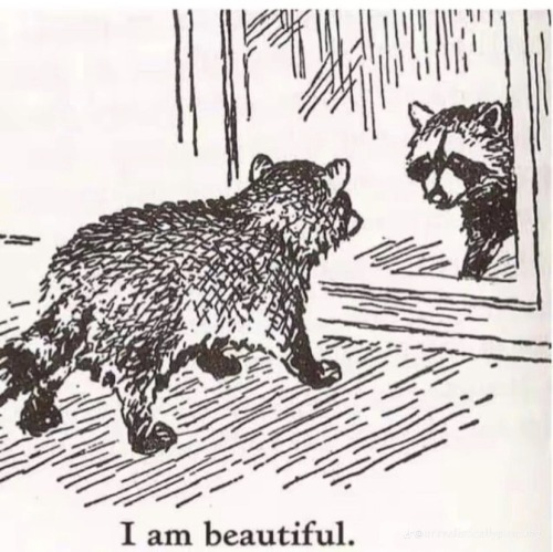 Your Survival Is Beautiful