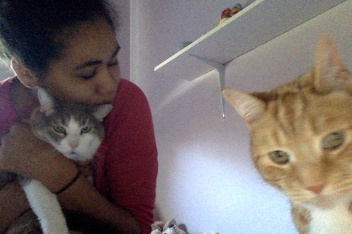 disneyismyescape: It’s apparently national hug your cat day helpand apparently my cats dont li