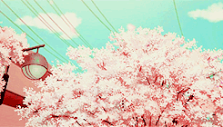 Tamako Market Scenery | Cherry Blossoms