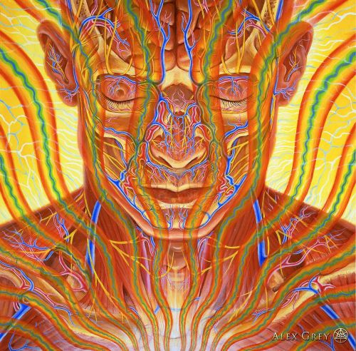 Alex Grey (b. 1953)Contemplation ,2002oil on wood