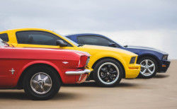 visualsbyblake:  “primary colors.” for Color class. managed to find someone nice enough to let me use their plane hangar at jenks regional airport as the background, and found some sweet looking mustangs to shoot on the active taxiway for the runways.