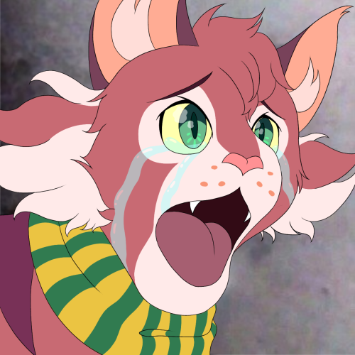 Drew Reece As Cat Memes Lol (please Ignore The Color Inconsistency)