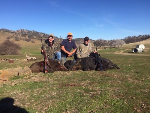 <p>2/16/18 Stanley and Mark took home 3 nice hogsu</p>