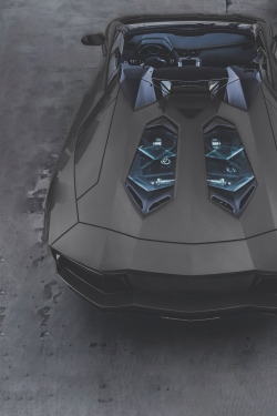 avenuesofinspiration:  Matte Aventador | Photographer © | AOI