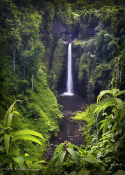 travelingcolors:  Sopoanga Falls | Samoa