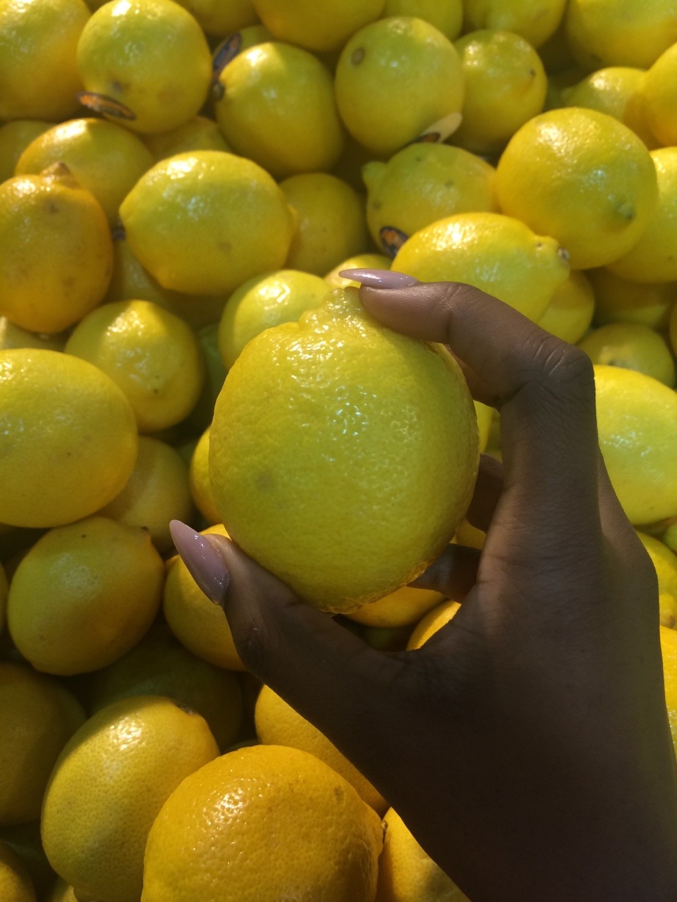 melongorl:  publishing my next Zine ‘random shit I put in my hand at the supermarket’
