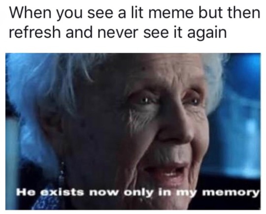 dankmemeuniversity: 