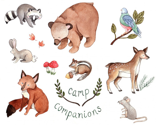 Some woodland creatures for your day.