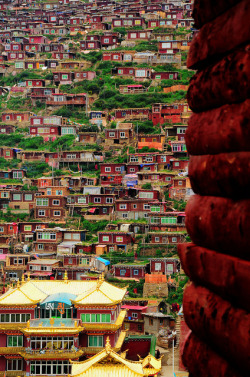 visitheworld:  Campus of Sertar Larung Gar, the world’s largest buddhist institute in Sichuan, China (by Mel s away). 