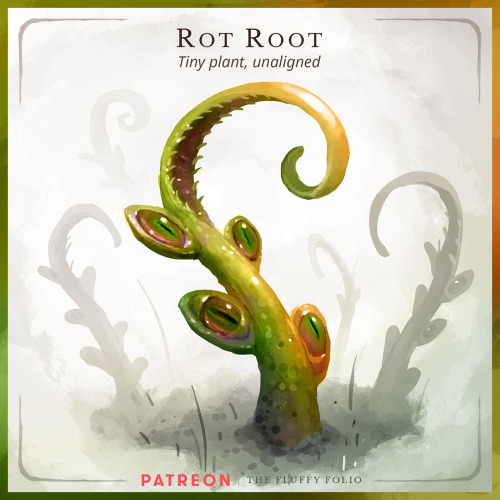 Rot Root – Tiny plant, unalignedLegend has it that this remarkable plant is in fact the result of a 