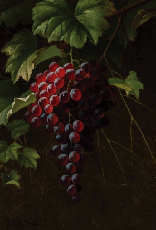 loumargi:Still Life with Grapes, Andrew John Henry Way (American,1826-1888)