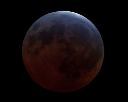 wonders-of-the-cosmos:    Lunar eclipse 2015Image Credit: Rolf Olsen  