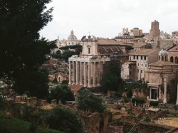 warmhealer:  Rome, 35mmThe Roman Forum was definitely the best part of our whole trip – we spent hours just walking through the ancient ruins in silence. It is almost incomprehensible to me that all of this is still here. 