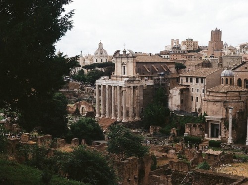 warmhealer:Rome, 35mmThe Roman Forum was definitely the best part of our whole trip – we spent hours