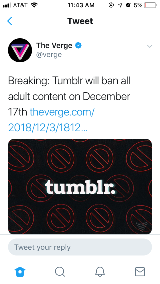 psy-faerie:  psy-faerie:  psy-faerie:  Tumblr will ban all adult content on December