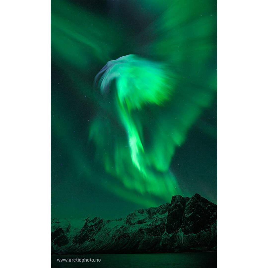 Eagle Aurora over Norway #nasa #apod #eagle #aurora #coronalmassejection #electrons
