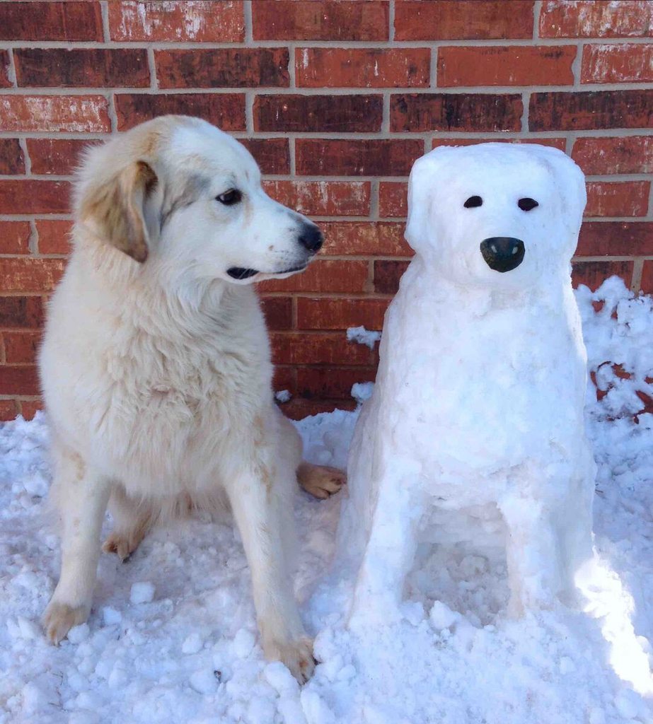 funnyimagesblog:  Funny Images http://ift.tt/1eaTLDp