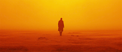 90th Academy Awards Best Cinematography Winner: