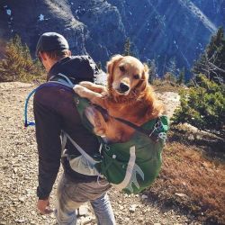 original-teen-blog:  Me and my future dog
