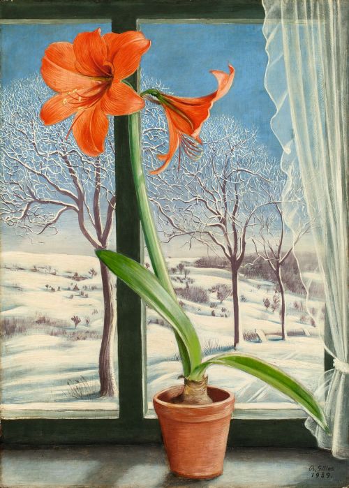 thunderstruck9:Barthel Gilles (German, 1891-1977), Stilleben mit Amaryllis am Fenster [Still Life wi