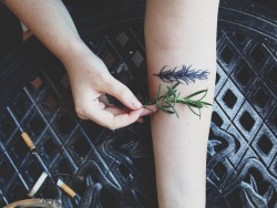 fuckyeahtattoos:  Rosemary for Rosemary.